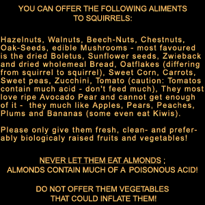 Hazelnut's and Walnut's are the much preferred and most important alimentary for squirrels,...they provide much essential oils and proteines, and they let them use their gnawing teeth.*** Beware: Please don't ever offer them almonds to eat, for Almonds contain a very poisonous acid!***